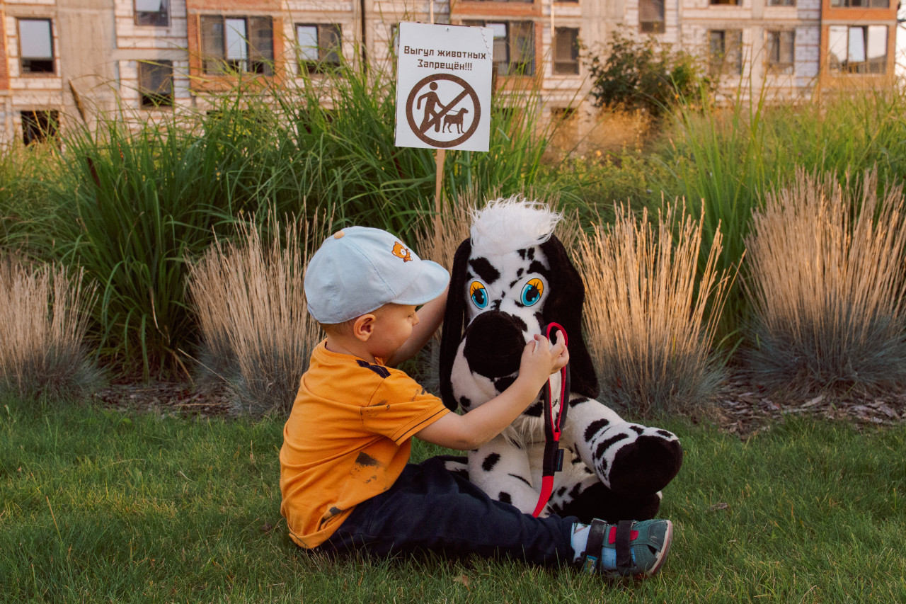 Новый стандарт для выгула собак утвердят в России к 2026 году