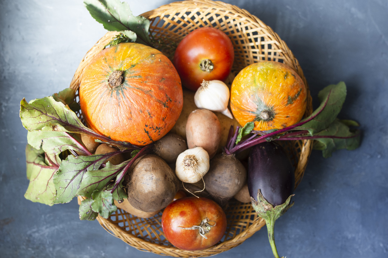 Две осенние ярмарки пройдут в Ставрополе 15 и 16 ноября