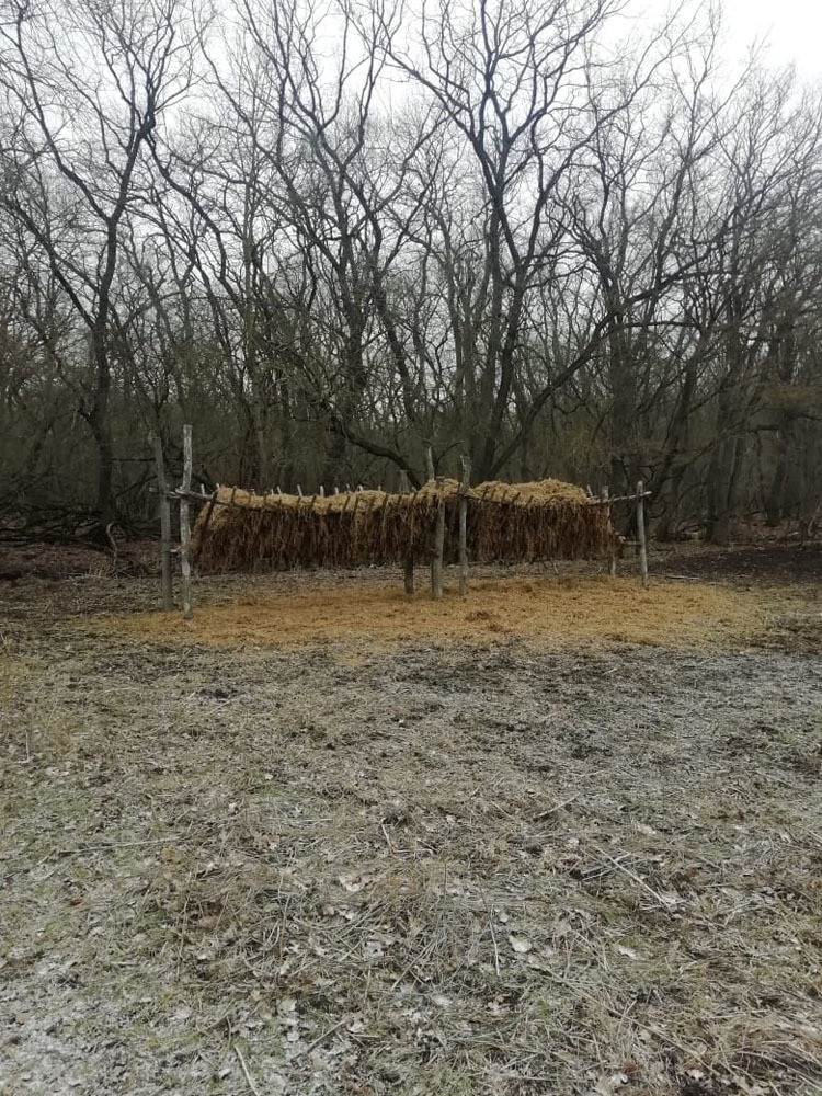 На Ставрополье для диких животных создают подкормочные площадки