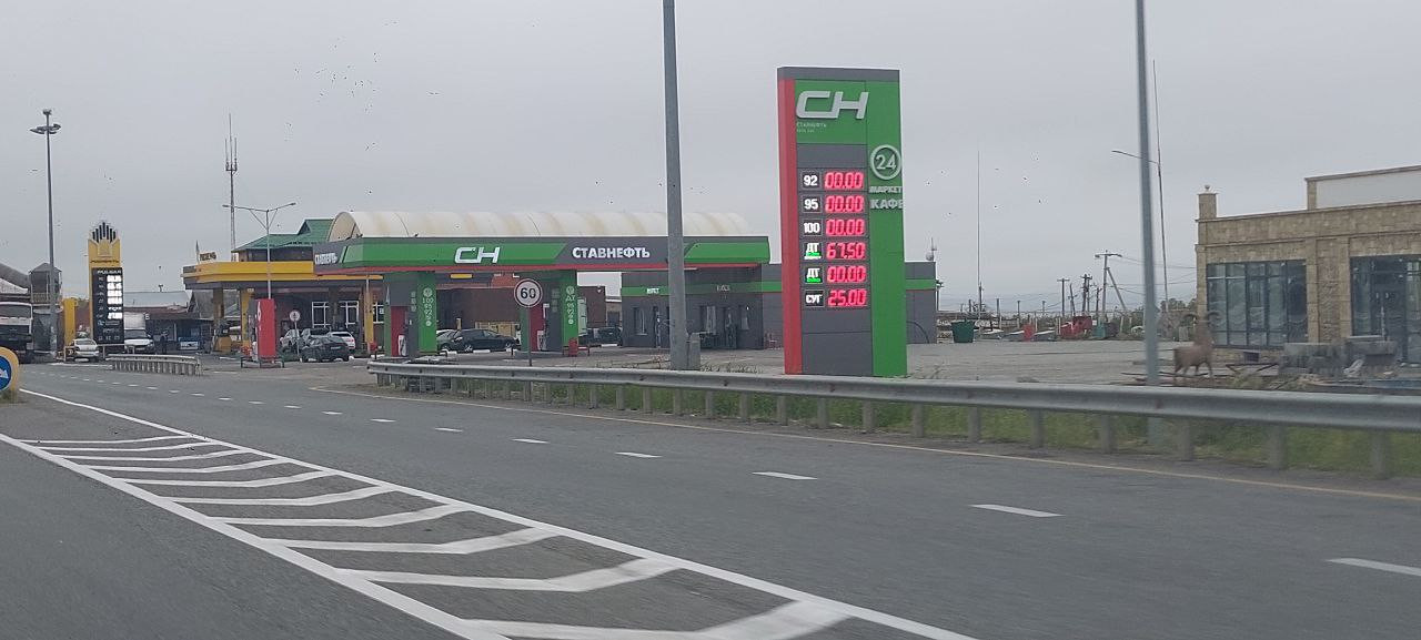 Все виды топлива подорожали за месяц на Ставрополье