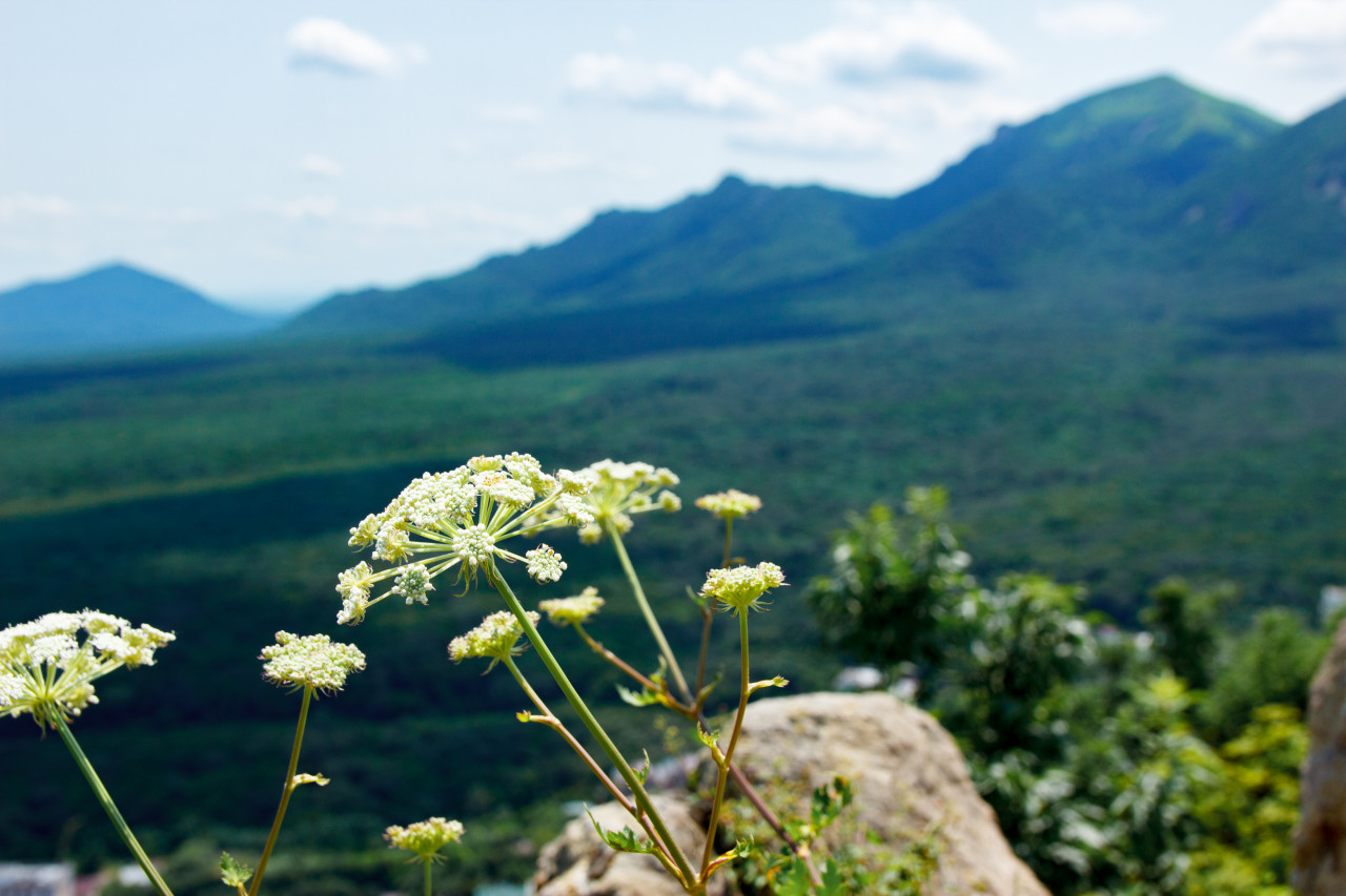 В Железноводске отремонтируют улицу Ленина В Железноводске отремонтируют улицу Ленина