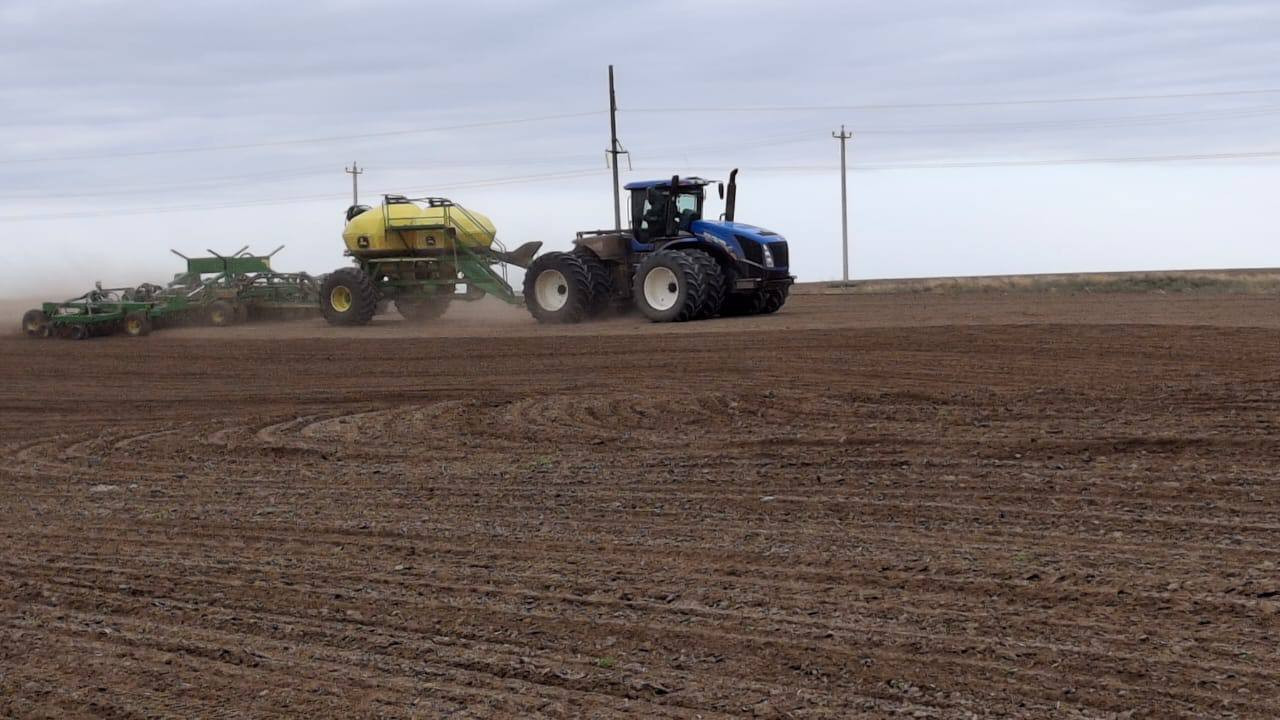 Сев озимых завершен: 2 млн га ставропольских полей засеяли озимыми культурами