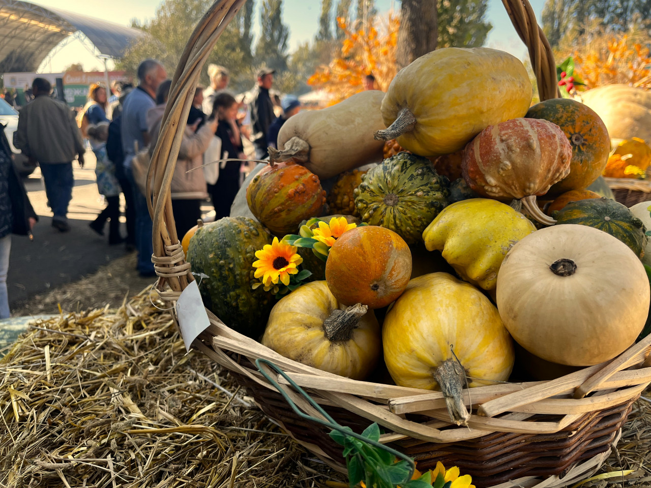 До +21 и без осадков: чем еще порадует погода жителей Ставрополья в конце недели? До +21 и без осадков: чем еще порадует погода жителей Ставрополья в конце недели?
