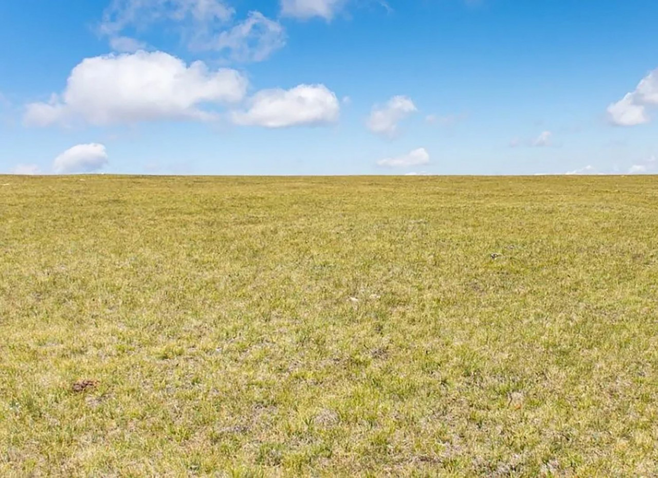 Больше 2 млн рублей получил обманом лжеовощевод на Ставрополье