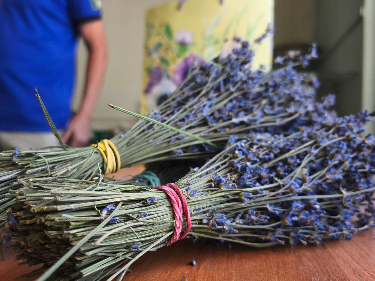 Лавандовое масло начали производить в Кировском округе