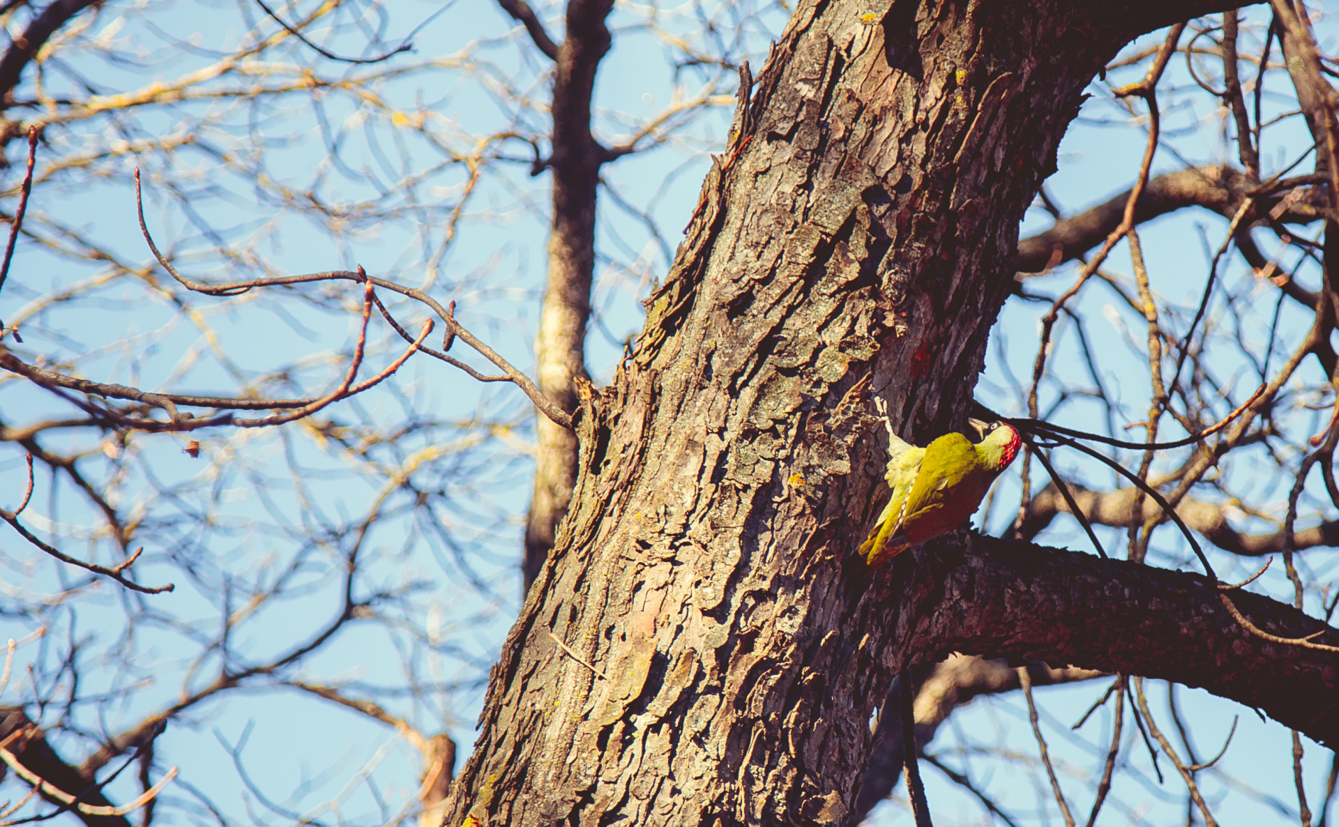 Утренними туманами и температурой до +10 заканчивается осень на Ставрополье Утренними туманами и температурой до +10 заканчивается осень на Ставрополье