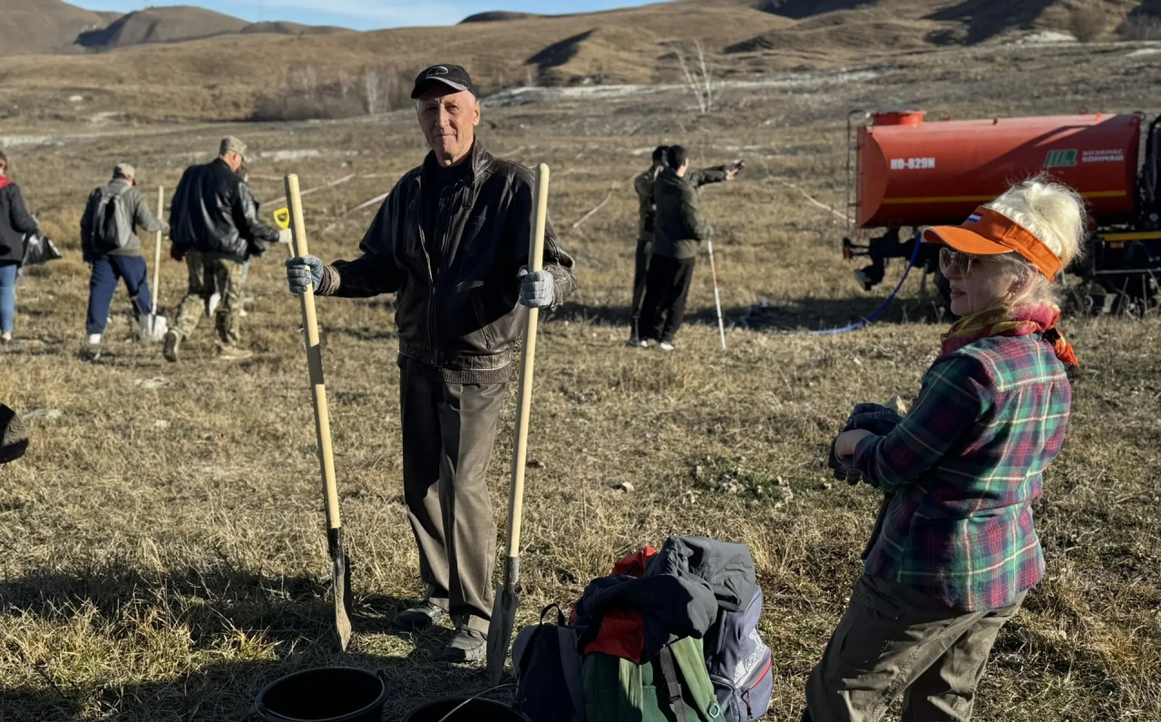 Больше четырех тысяч саженцев высадили в Кисловодске