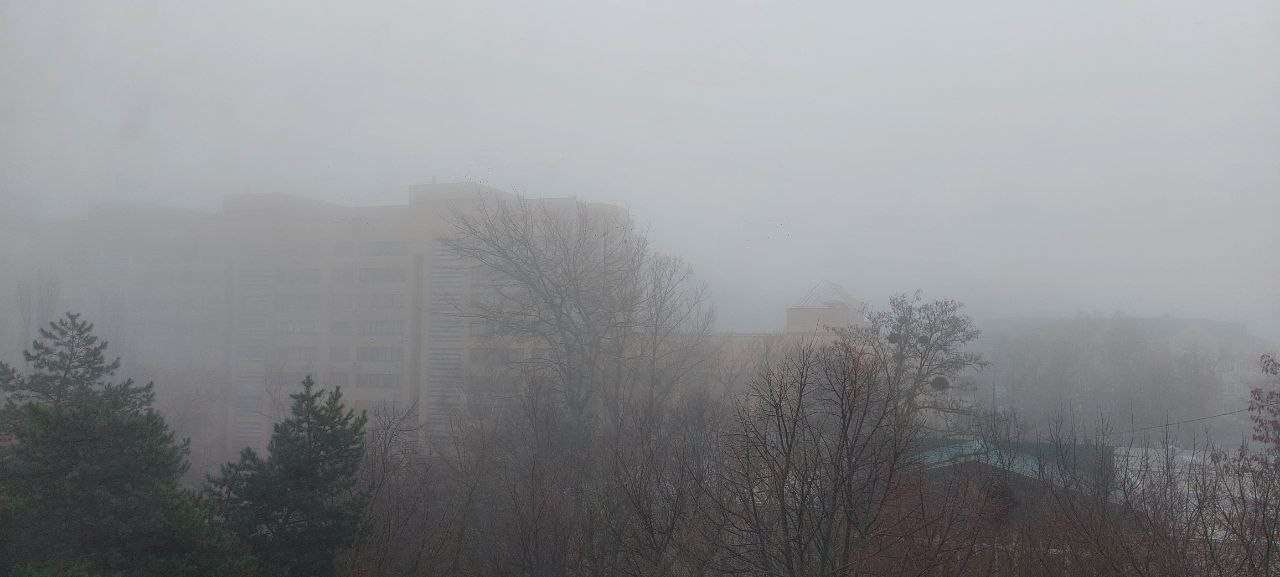 Туманно и дождливо: какой будет погода на Ставрополье в первые дни зимы