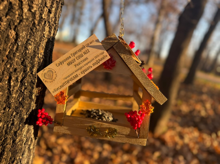 35 кормушек ручной работы появились в Комсомольском парке Кисловодска