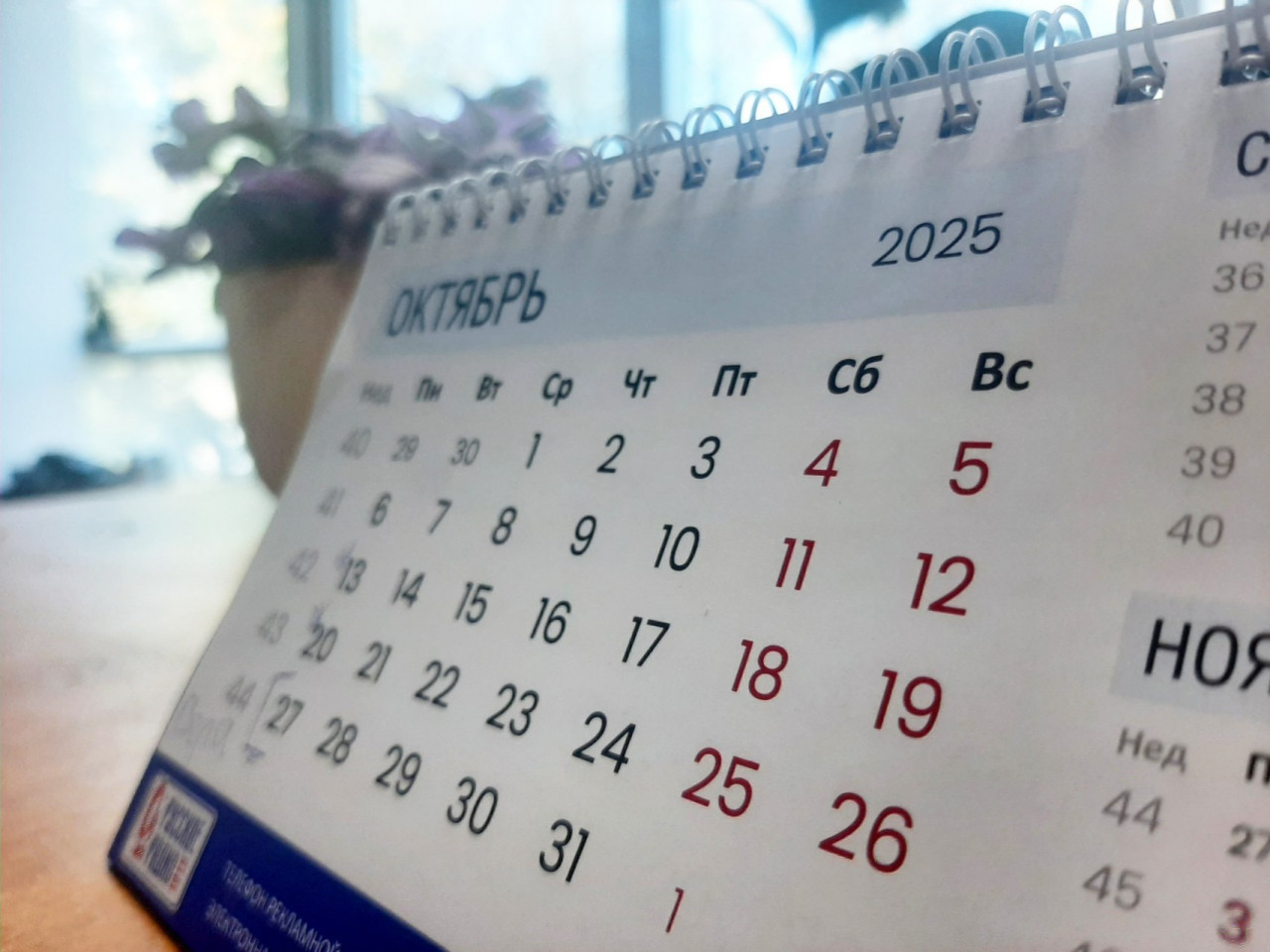 Семь сокращенных рабочих недель ждут ставропольцев в 2026 году