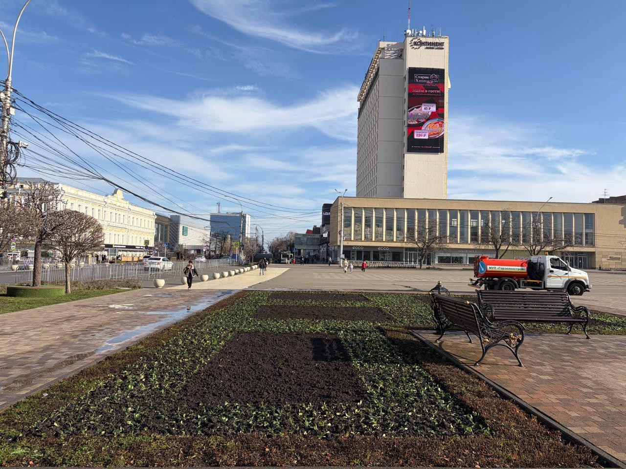 Более 200 тысяч цветов перезимуют в клумбах Ставрополя Более 200 тысяч цветов перезимуют в клумбах Ставрополя