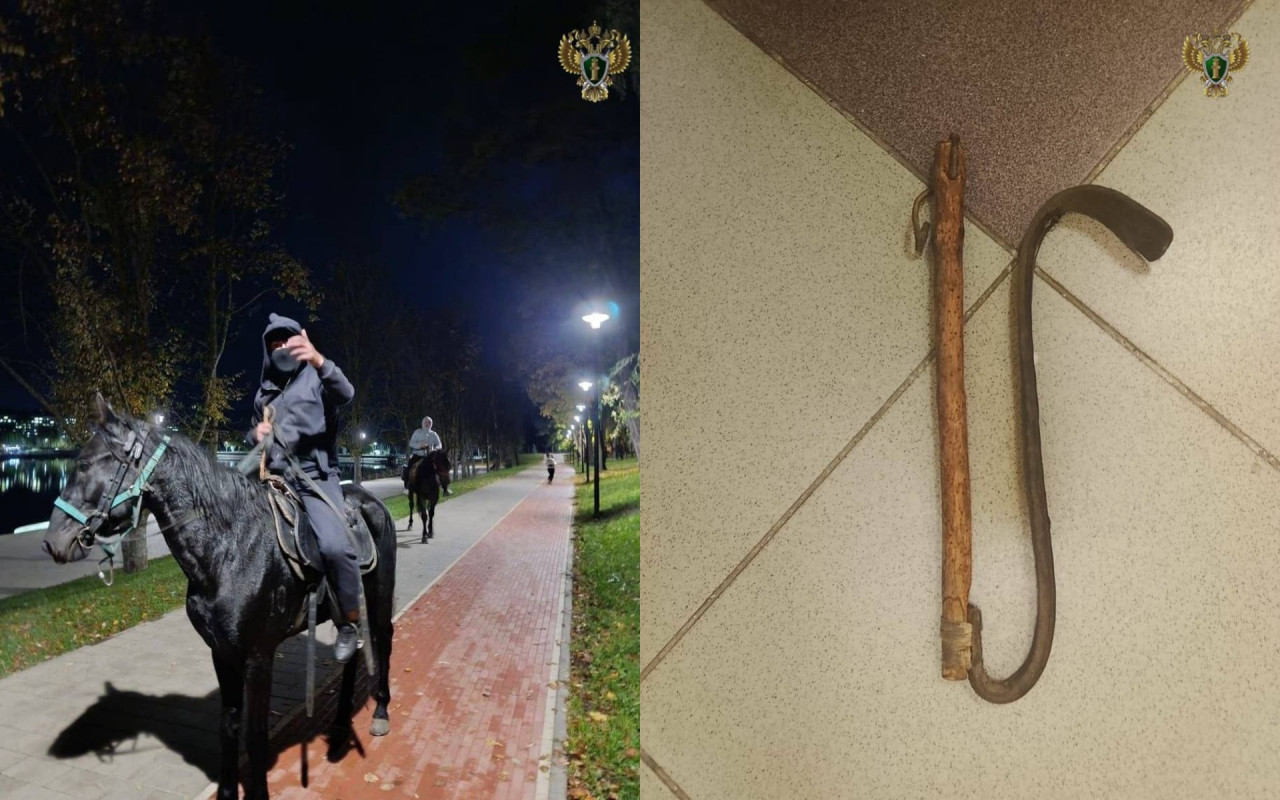 Всаднику, побившему пенсионеров в Кисловодске, грозит до 7 лет лишения свободы