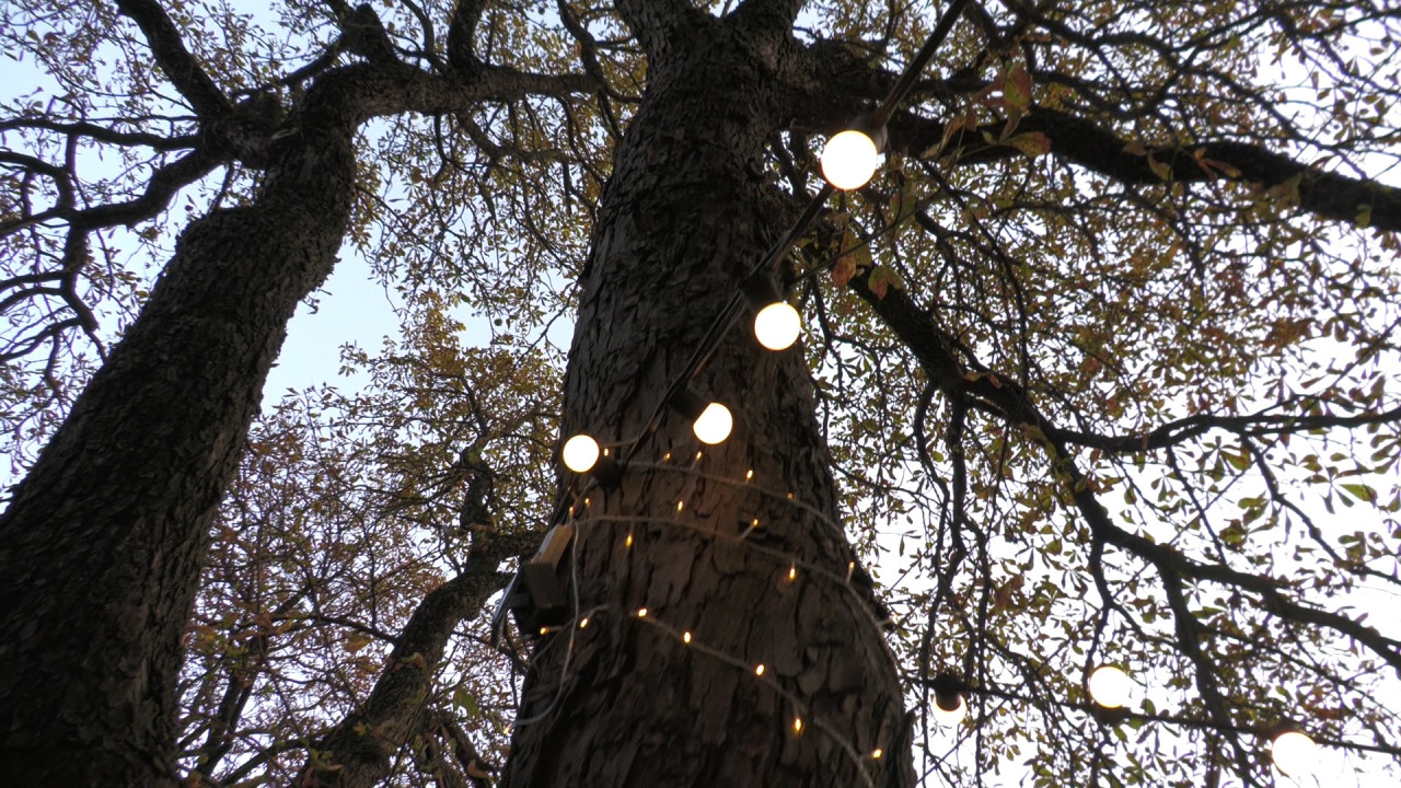 Снег или потепление? Какая погода будет на Ставрополье в конце недели