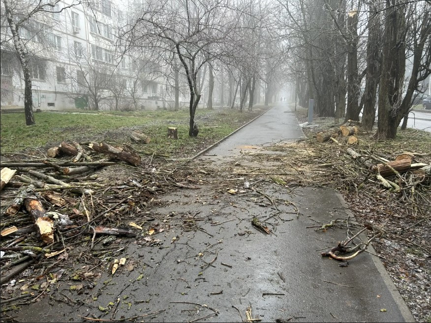 В Ставрополе зафиксировали 31 происшествие, связанное с сильным ветром В Ставрополе зафиксировали 31 происшествие, связанное с сильным ветром