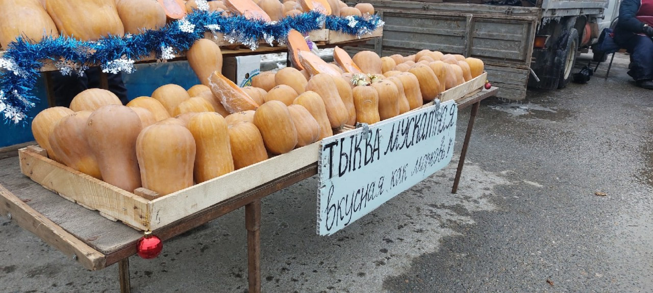 Где в декабре купить дешевые продукты в Ставрополе?