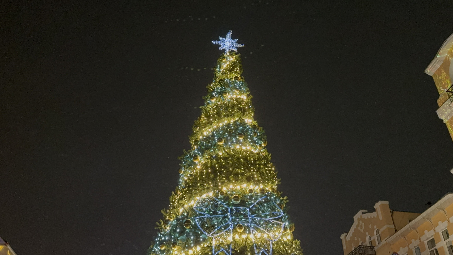 В Кисловодске торжественно зажгли главную новогоднюю елку