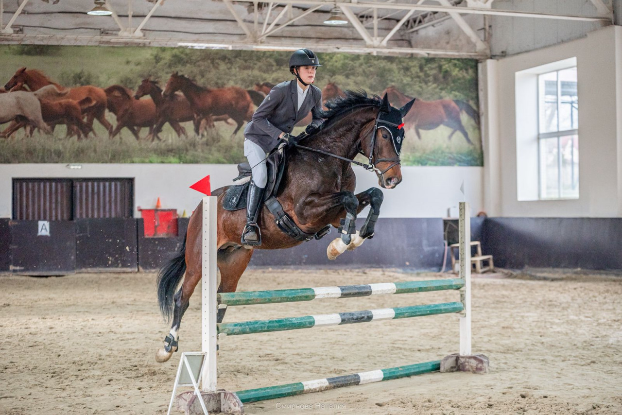 Всадницы из Ставрополя взяли награды на Зимнем кубке Терского конного завода Всадницы из Ставрополя взяли награды на Зимнем кубке Терского конного завода