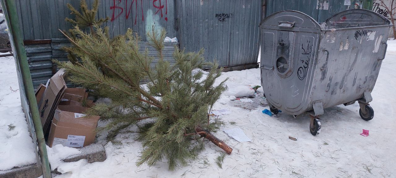 Тарифы на вывоз мусора подняли для двух регоператоров на Ставрополье