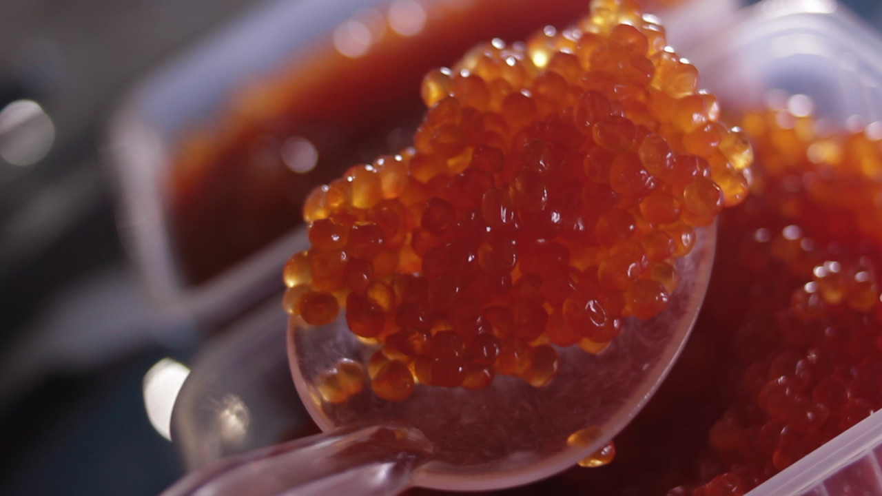 Бутерброд с красной икрой на Ставрополье стал одним из самых дорогих по стране