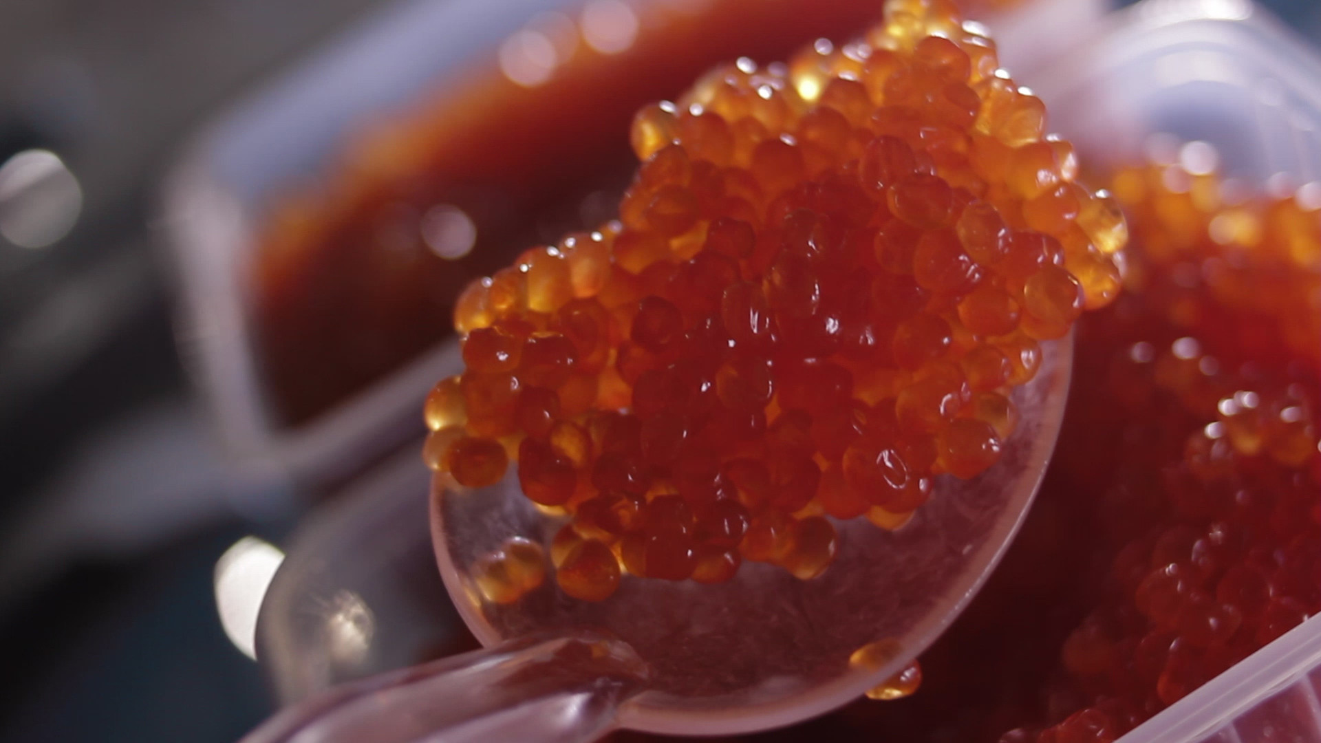 Бутерброд с красной икрой на Ставрополье стал одним из самых дорогих по стране