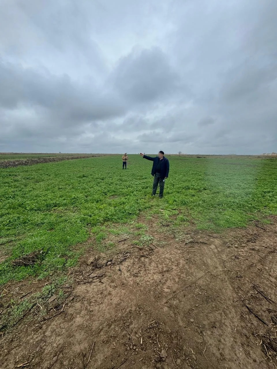 На Ставрополье фермер отправится в колонию за хищение 9 млн рублей