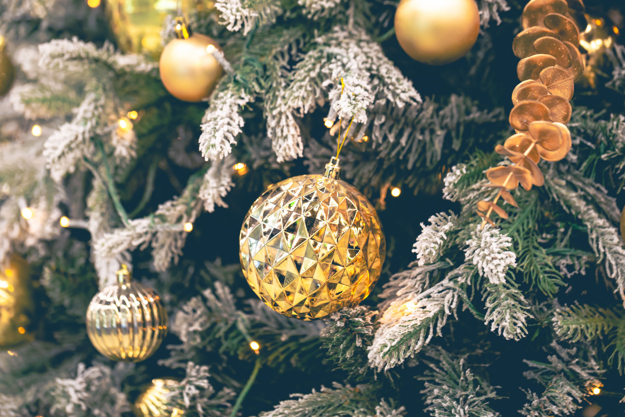 Новогодние елки отменяют в Астраханской области