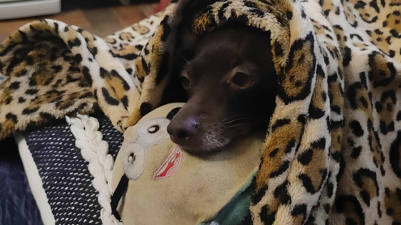 Большинство россиян считают уходящий 2025 год трудным или очень тяжёлым