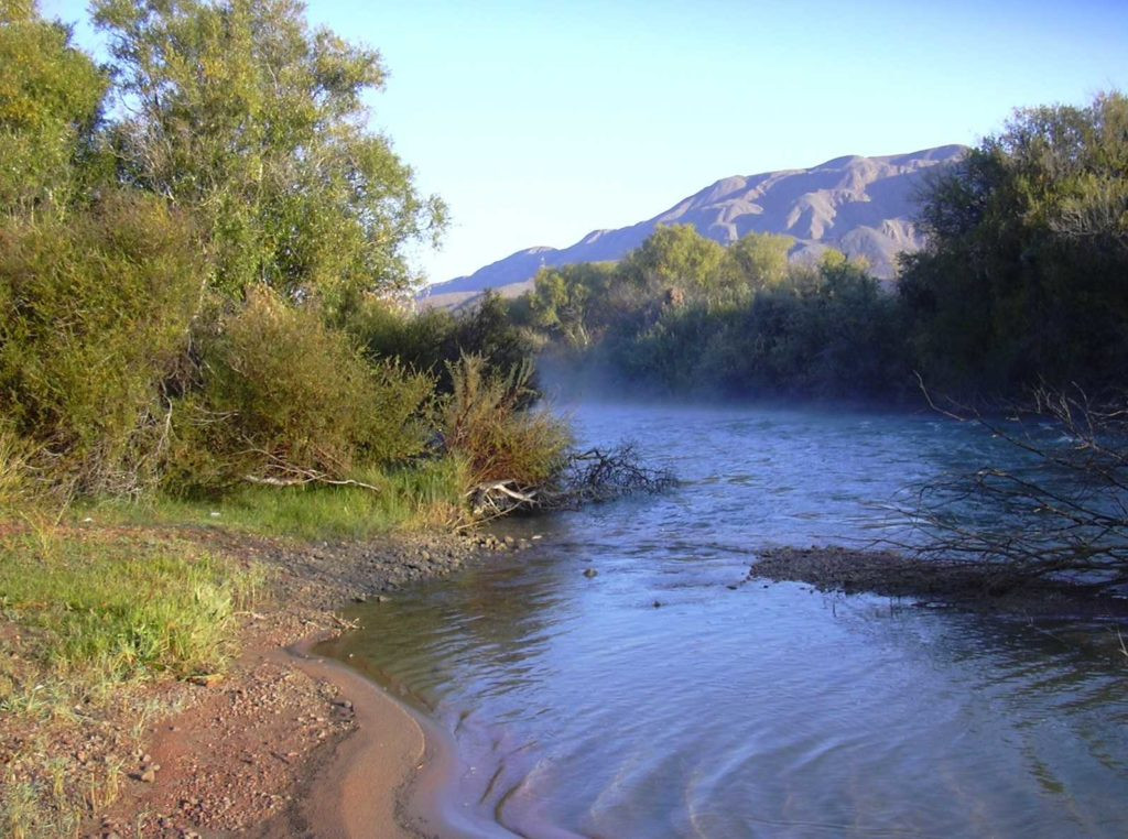 Четыре организации оштрафовали за загрязнение реки Кумы на Ставрополье