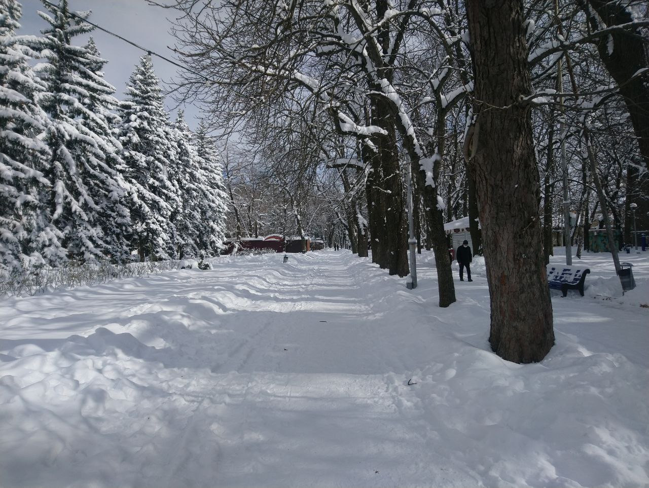 Небольшой дождь и до -13 градусов: какая погода будет на Ставрополье в выходные