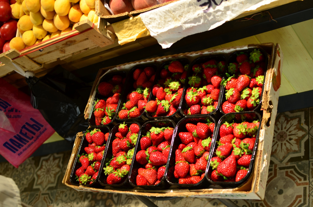 В Предгорном округе собрали первый в 2026 году урожай клубники В Предгорном округе собрали первый в 2026 году урожай клубники