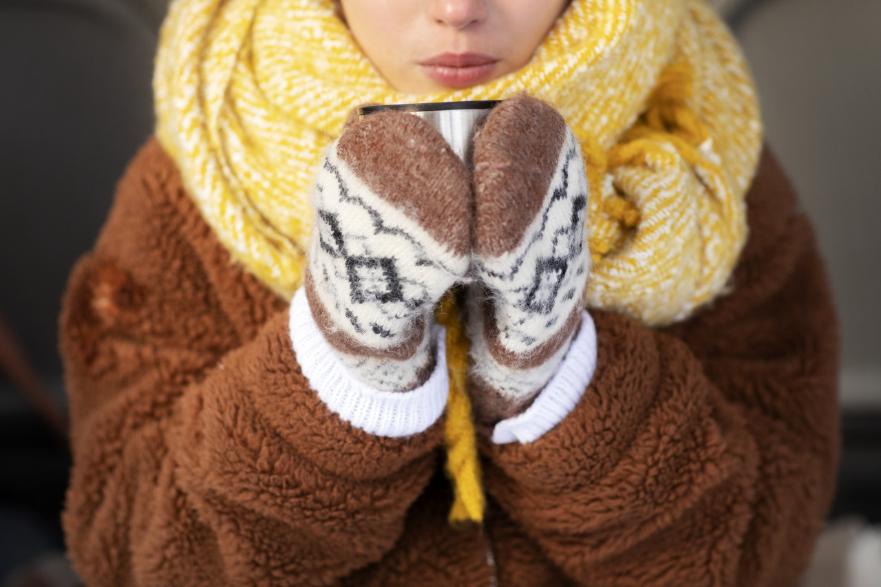 Принцип «капусты»: как одеваться, чтобы не замерзнуть на прогулке