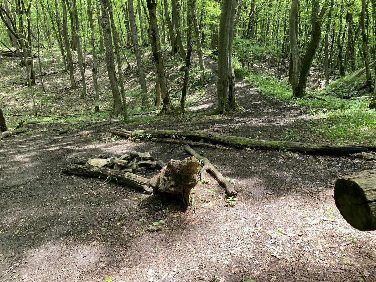 Глава Ставрополья: кольцевая дорога вокруг Ставрополя не затронет Русский лес Глава Ставрополья: кольцевая дорога вокруг Ставрополя не затронет Русский лес