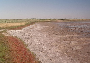 Состоянием озера Соленое обеспокоены на Ставрополье