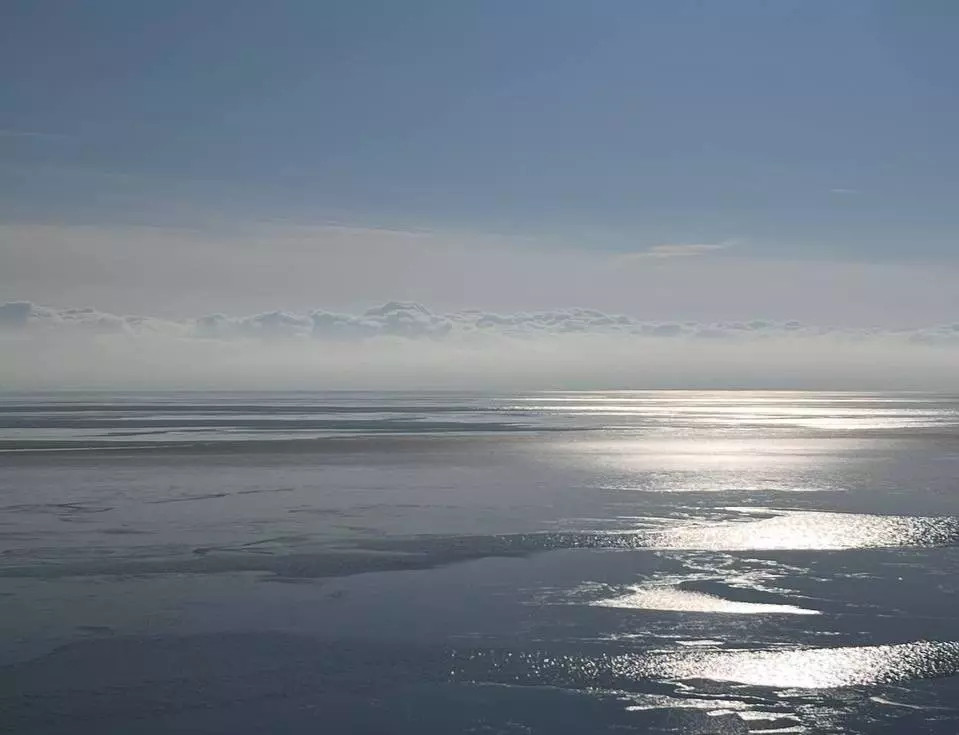 Рыбы в Азовском море стало рекордно мало