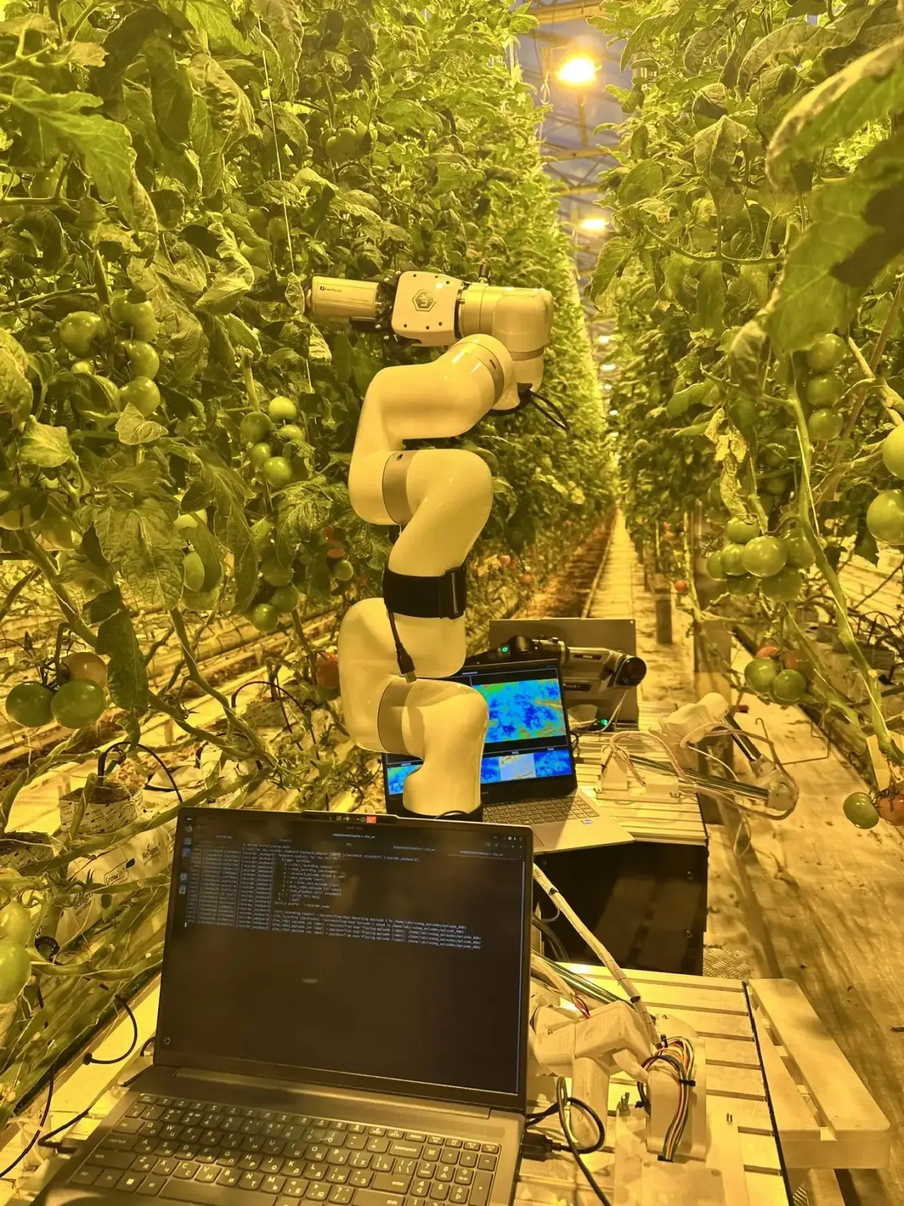 Учёные СтГАУ представили прототип роботизированной системы для определения болезней растений