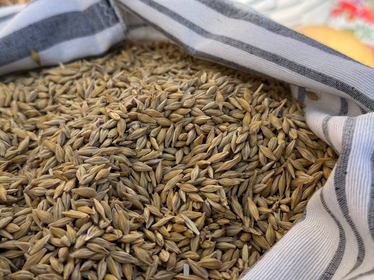 Ставропольский край перевыполнил план по экспорту агропродукции