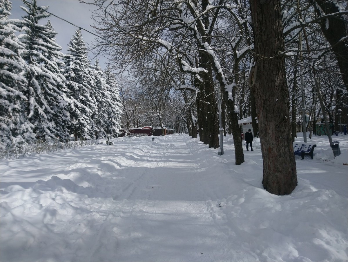 Названы регионы с самыми высокими сугробами