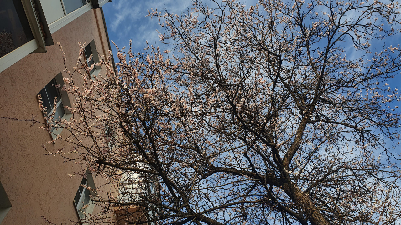 Ставрополь готовится встречать весну