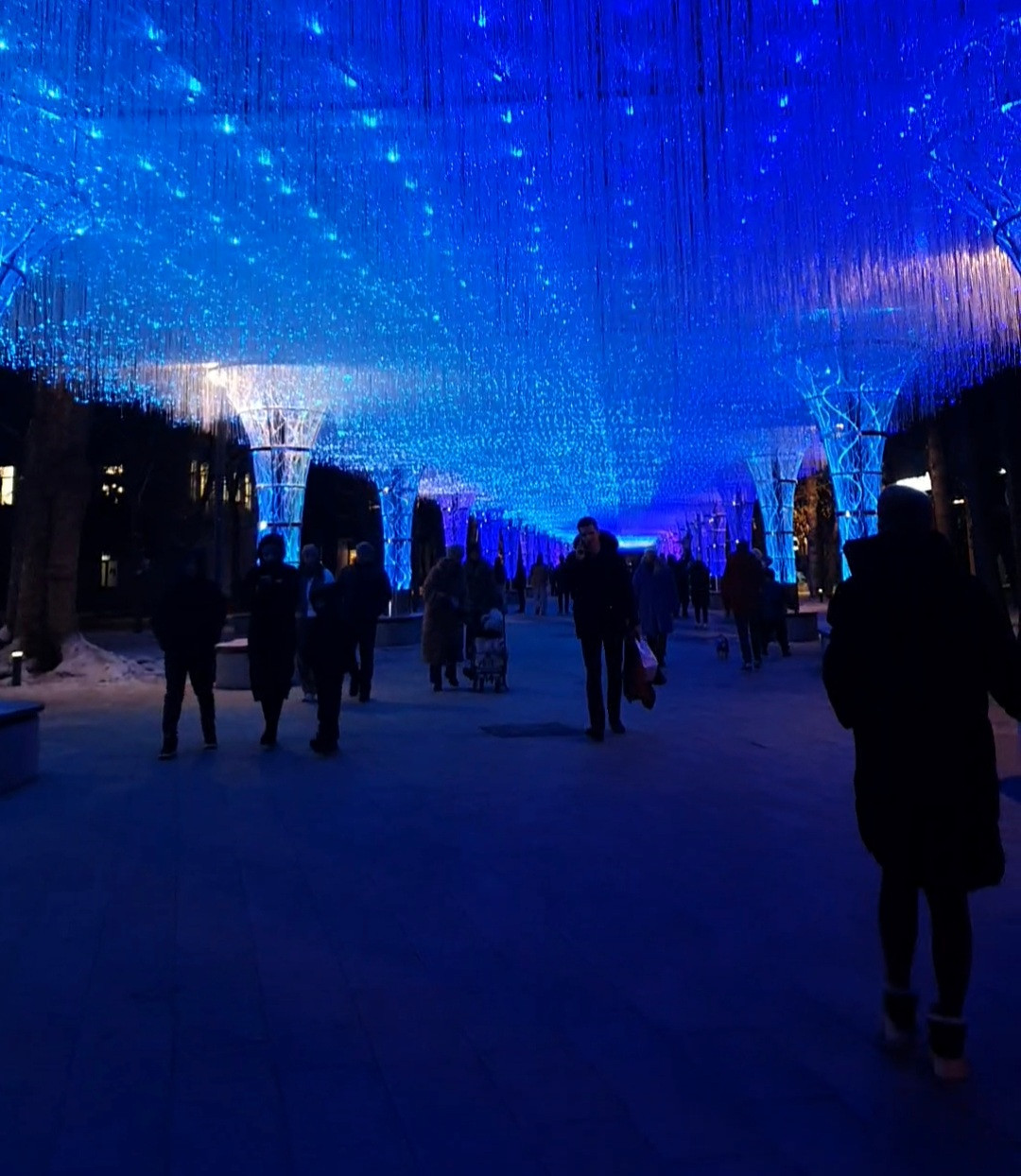 Световой тоннель будет на пр-те Октябрьской Революции в Ставрополе круглый год