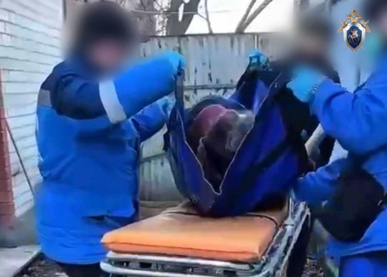 Краевой следком проверяет информацию об оставленном на улице пациенте скорой помощи в Пятигорске Краевой следком проверяет информацию об оставленном на улице пациенте скорой помощи в Пятигорске