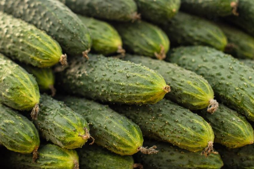 ФАС выяснит, насколько обоснованно растут цены на огурцы