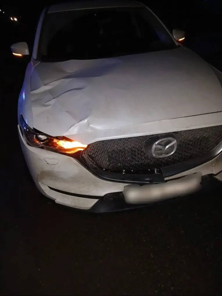 Пешеход погиб под колесами автомобиля в Новоселицком округе