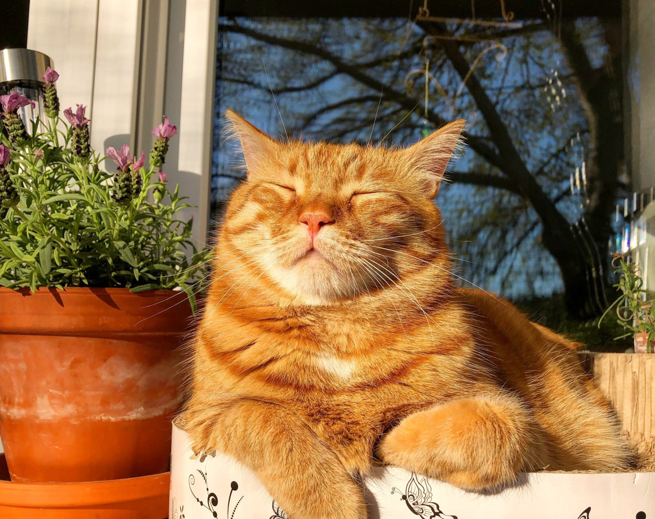 20-градусное тепло: какой будет погода на Ставрополье в начале недели?