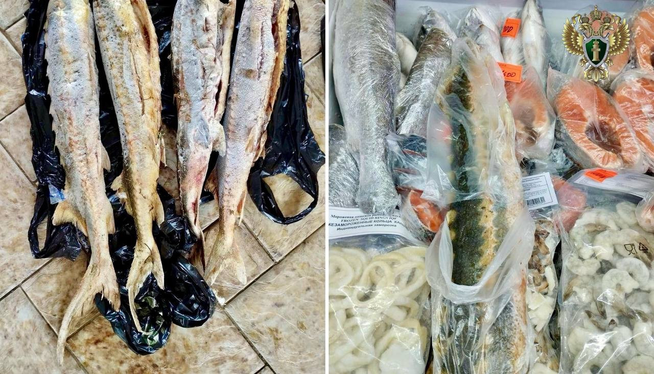 К двум годам условно приговорили жительницу Ставрополья за торговлю краснокнижной рыбой