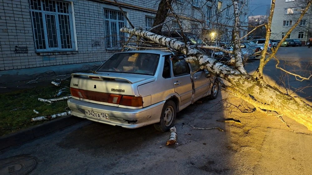 Экстренные службы Ставрополя ликвидируют последствия сильного ветра