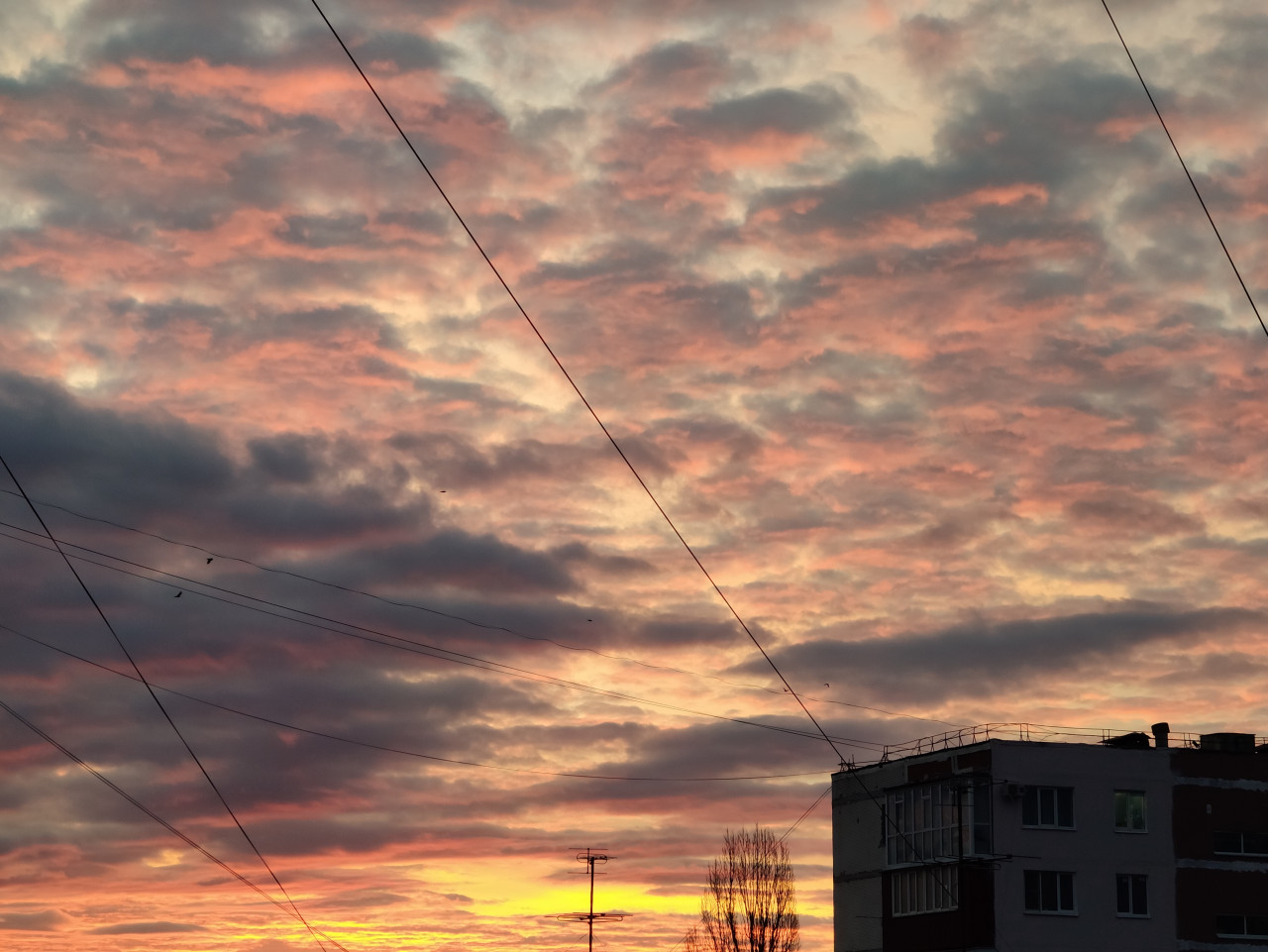 До +15 градусов поднимется температура на Ставрополье на выходных До +15 градусов поднимется температура на Ставрополье на выходных