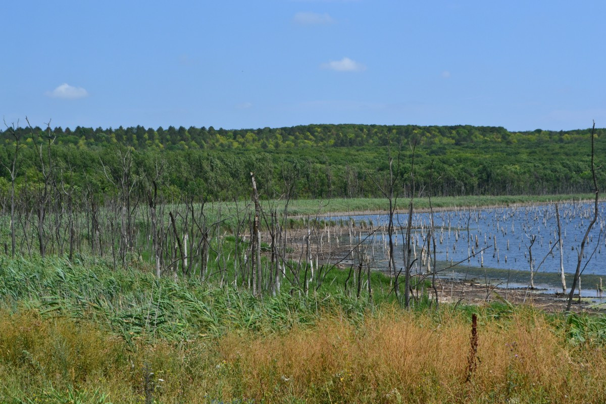 Изменился статус озера «Тамбукан» на Ставрополье Изменился статус озера «Тамбукан» на Ставрополье