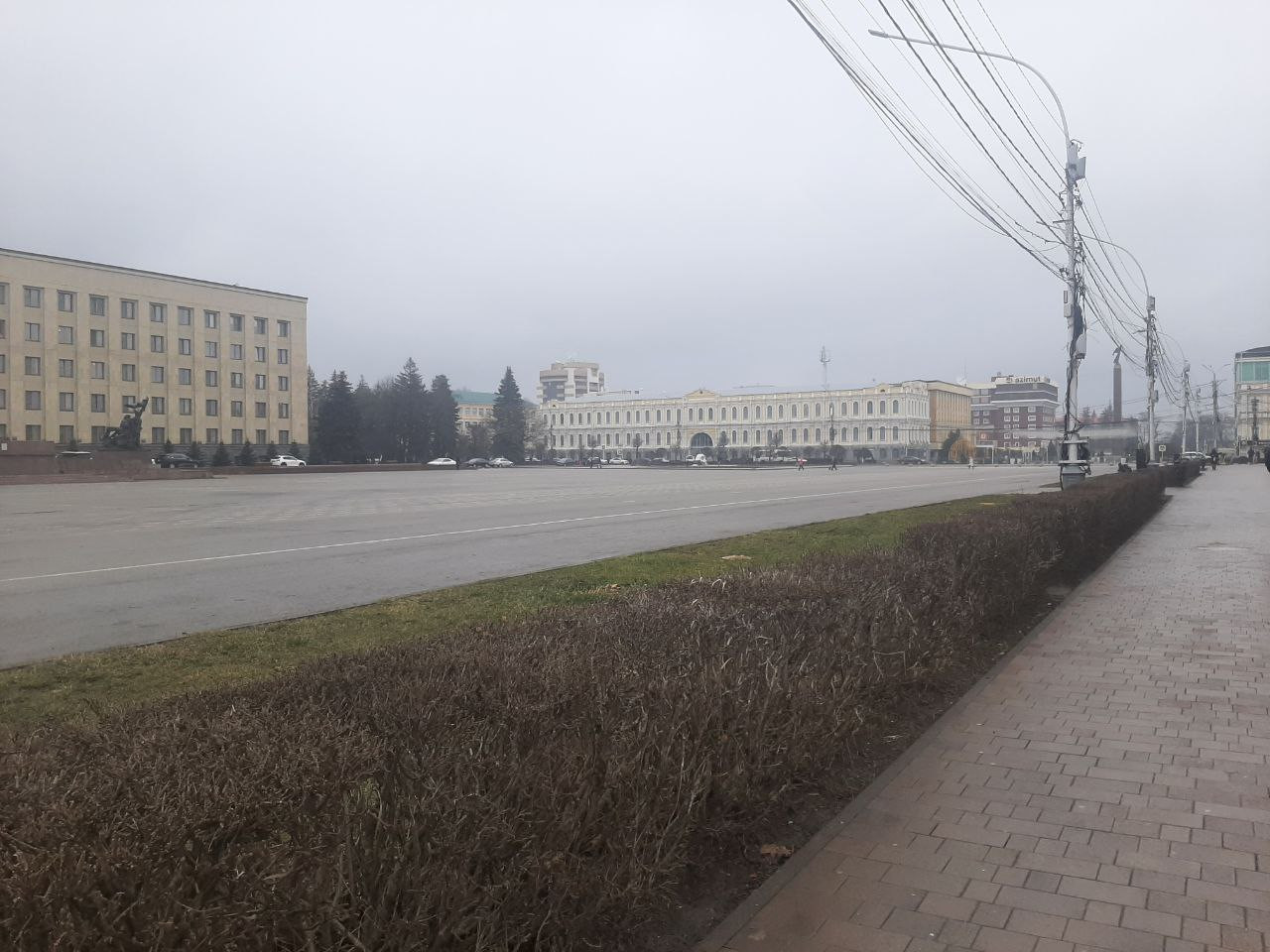 На площади Ленина в Ставрополе высадят кленовую аллею На площади Ленина в Ставрополе высадят кленовую аллею