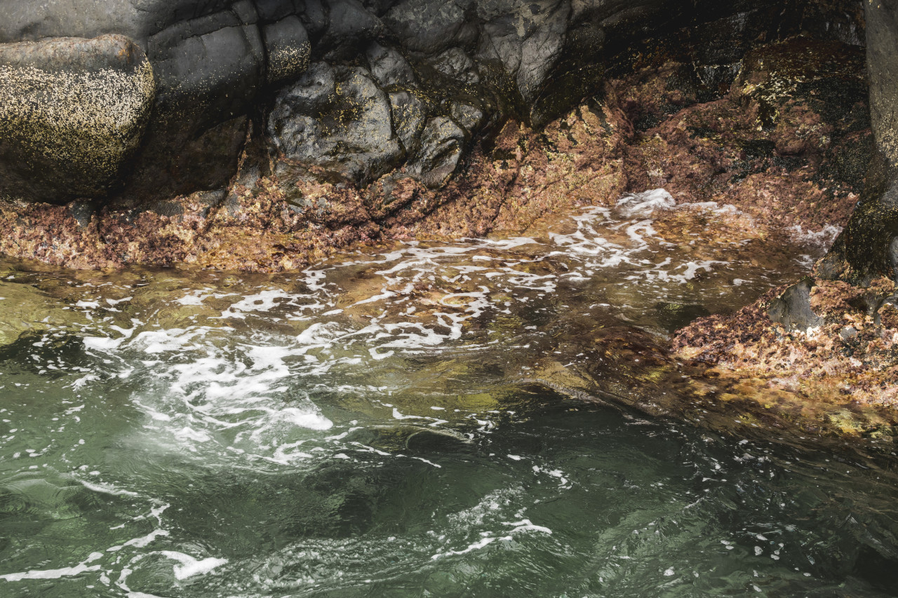 15 тыс. рублей заплатил Ставрополькрайводоканал за порчу воды в реке Кума