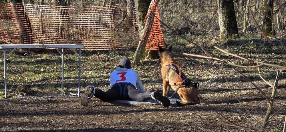 Краевой чемпионат по кинологическому спорту прошел на Ставрополье Краевой чемпионат по кинологическому спорту прошел на Ставрополье